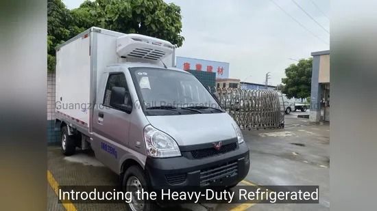 Dobra cena. 8ft-32ft Refrigerated Truck Body with High Strength FRP Panels w Internecie